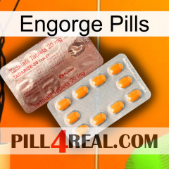 Engorge Pills new13